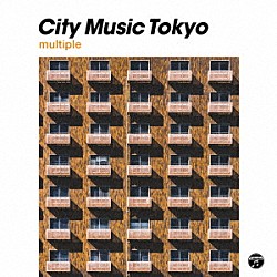 （Ｖ．Ａ．） カーネーション 中西保志 ＪＡＤＯＥＳ 木村恵子 菊地朋貴 清野由美 堀込高樹「ＣＩＴＹ　ＭＵＳＩＣ　ＴＯＫＹＯ　ｍｕｌｔｉｐｌｅ」