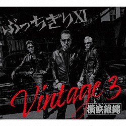 Ｔ．Ｃ．Ｒ．横浜銀蝿Ｒ．Ｓ．「ぶっちぎりⅩⅠ　Ｖｉｎｔａｇｅ　３」