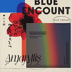 ＢＬＵＥ　ＥＮＣＯＵＮＴ「アマリリス」