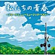 （Ｖ．Ａ．） かぐや姫 風 吉田拓郎 井上陽水 ＴＵＬＩＰ イルカ 及川恒平「私たちの青春　～フォーク＆ニューミュージック・ベスト～」