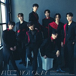 ＡＴＥＥＺ「ＮＯＴ　ＯＫＡＹ」