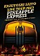 斉藤和義「ＫＡＺＵＹＯＳＨＩ　ＳＡＩＴＯ　ＬＩＶＥ　ＴＯＵＲ　２０２３　ＰＩＮＥＡＰＰＬＥ　ＥＸＰＲＥＳＳ　～明日大好きなロックンロールバンドがこの街にやってくるんだ～　Ｌｉｖｅ　ａｔ　川口総合文化センター」