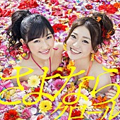 AKB48「シングル『さよならクロール』　Type A 初回盤」11枚目/17