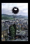 アニメ『惡の華』佐伯曲が解禁、衝撃ED…