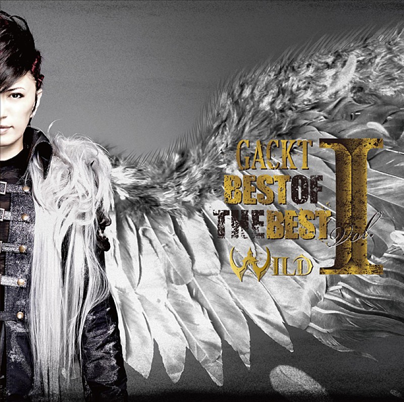 ＧＡＣＫＴ「アルバム『BEST OF THE BEST vol.1 -WILD-』　Blu-ray / DVD盤」2枚目/5