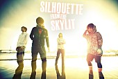「SILHOUETTE FROM THE SKYLIT（デモンズベノム）」11枚目/13