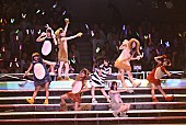 AKB48「雨の動物園 （村山、前田美、湯本、橋本、梅田綾、内山、谷、大段）」25枚目/59