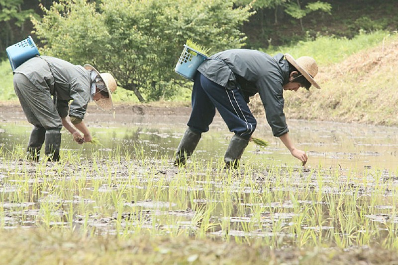 Salyu×小林武史 震災後の福島が舞台の映画『家路』主題歌決定