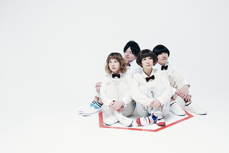 ねこね、こねこね。「ねこね、こねこね。「四半世紀カルテット」MV＆Nakajin（SEKAI NO OWARI）からのCD帯コメント公開」1枚目/2