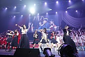 AKB48「」12枚目/21