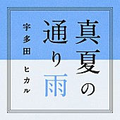 宇多田ヒカル「」4枚目/4