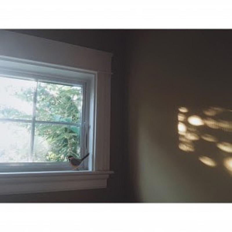 「Bibio絶賛のオオモリアツヒト、ソロプロジェクトの新作音源公開」1枚目/1