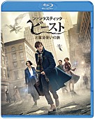 エディ・レッドメイン「映画『ファンタビ』BD＆DVDリリースは4月！ 特別予告映像も公開」1枚目/3