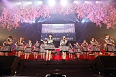 AKB48「」7枚目/18