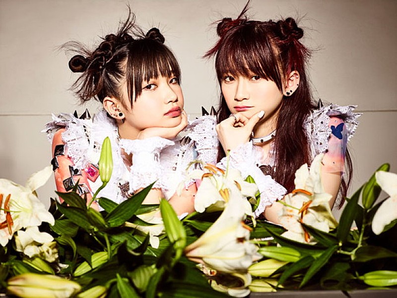 LADYBABY“舐めたらヤバイ”超攻撃的な新曲「Pelo」ライブ初披露！ シングルC/WのMVも公開