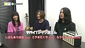 ヤバイTシャツ屋さん「」4枚目/15