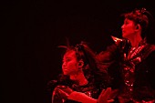 BABYMETAL「BABYMETAL、20歳を迎えるSU-METALの聖地・広島で凱旋ライブ開催」1枚目/7