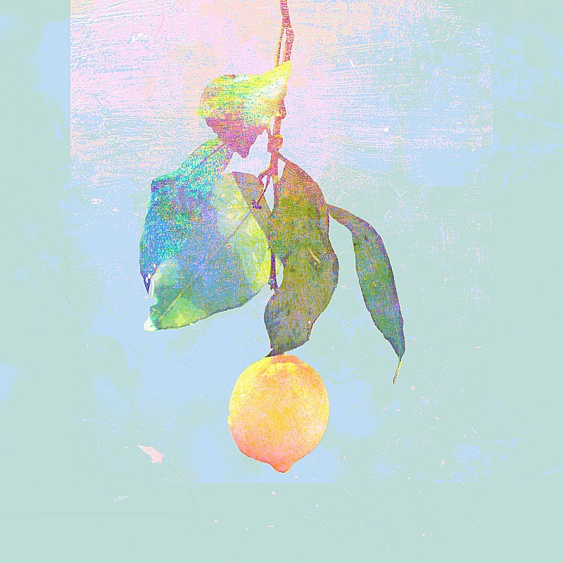 【ビルボード HOT BUZZ SONG】 米津玄師「Lemon」が4週連続で首位独走中、欅坂46「ガラスを割れ!」が追う