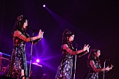 AKB48「」20枚目/29
