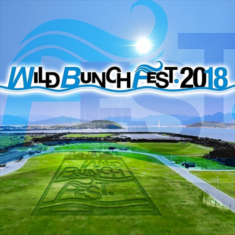 ザ・クロマニヨンズ「出演アーティスト第1弾発表【WILD BUNCH FEST. 2018】さらに今年は開催エリアが移動」1枚目/1