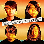 Bird Bear Hare and Fish「Bird Bear Hare and Fish、バンド初の全国ワンマンツアーを発表」1枚目/1