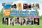 清水翔太「【FM802 MEET THE WORLD BEAT 2018】 清水翔太、GENERATIONS from EXILE TRIBE、あいみょんら11組が発表」1枚目/1