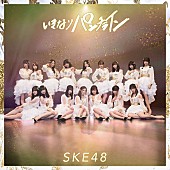 SKE48「」7枚目/11