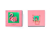 米津玄師「米津玄師、新SG『Flamingo / TEENAGE RIOT』3形態の商品写真を公開」1枚目/6