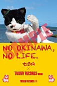 むぎ（猫）「むぎ（猫）の特番が生配信＆「NO OKINAWA, NO LIFE.」ポスターに登場」1枚目/3