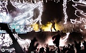 スティーブ・アオキ「Steve Aoki/DJ Snake/Galantis/Afrojackら出演　【ULTRA JAPAN 2019】レポート到着」1枚目/21