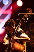 H ZETTRIO「写真撮影：Yuta Ito」3枚目/9