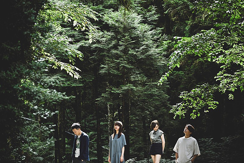 シカーダ「台湾の室内楽グループCicada、「Hiking In The Mist」MVを公開」1枚目/2