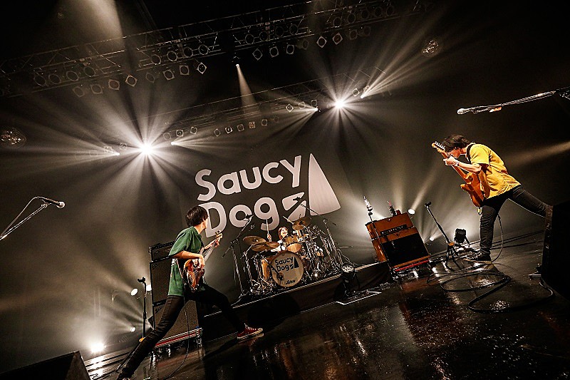 Saucy Dog「＜ライブレポート＞Saucy Dog、ライブバンドとしての進化を見せた初のZeppTokyoワンマン」1枚目/8