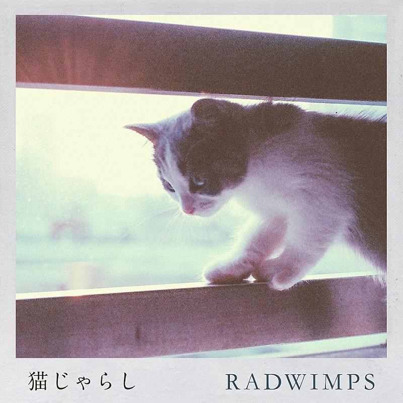 Radwimps 新曲 猫じゃらし が配信スタート 写真募集企画も Radnekojarashi Daily News Billboard Japan