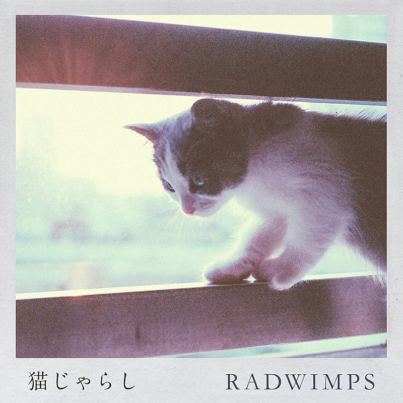 RADWIMPS「猫じゃらし（Orchestra ver.）」MV公開、多彩なクリエイターが参加