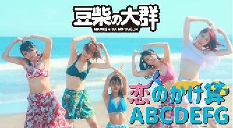 豆柴の大群が新曲「恋のかけ算　ABCDEFG」水着MV公開、ゾンビ“クロちゃん”も出演