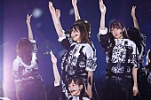 欅坂４６「」11枚目/17