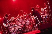 Official髭男dism「＜ライブレポート＞Official髭男dism、ファンとメンバーが選んだ名曲揃いのFCライブ開催」1枚目/9