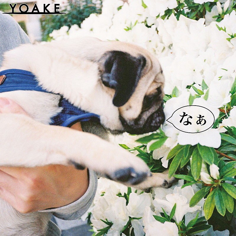 YOAKE、新曲「なぁ」配信リリース＆MV公開　叶わぬ恋を歌ったアコースティックサウンドのナンバー