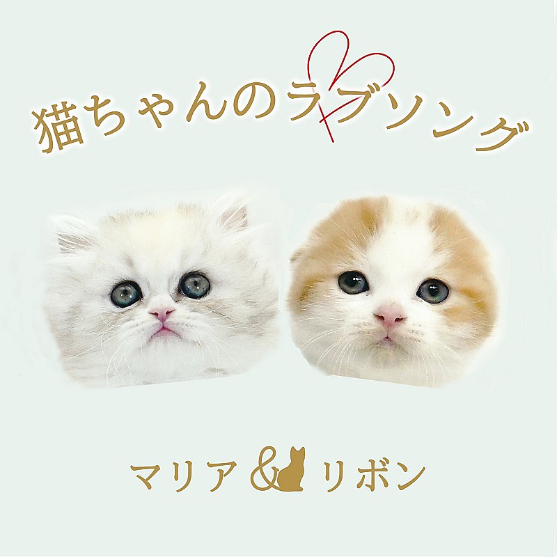「2匹の猫ユニットが「猫ちゃんのラブソング」配信リリース、2022年2月22日“スーパー猫の日”にMV公開」1枚目/2