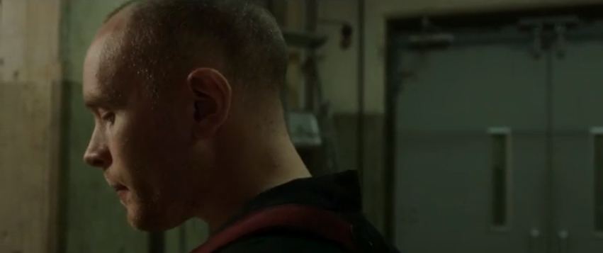 The Swallows of London Town (Amoeba Green Room Session)