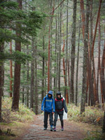 プラニメ 『UNIT』インタビュー