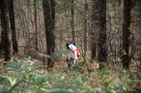 プラニメ 『UNIT』インタビュー