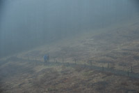 プラニメ 『UNIT』インタビュー