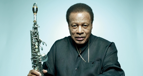 グラスパー写真