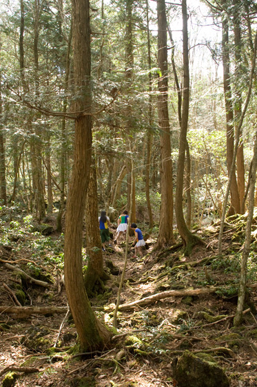 「あのアイドルの代表曲が差し替えに？ MVに謎の3名」1枚目/4