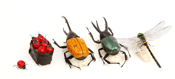 「宇宙人、遂に語る。「押し付けがましいのは嫌」」1枚目/2