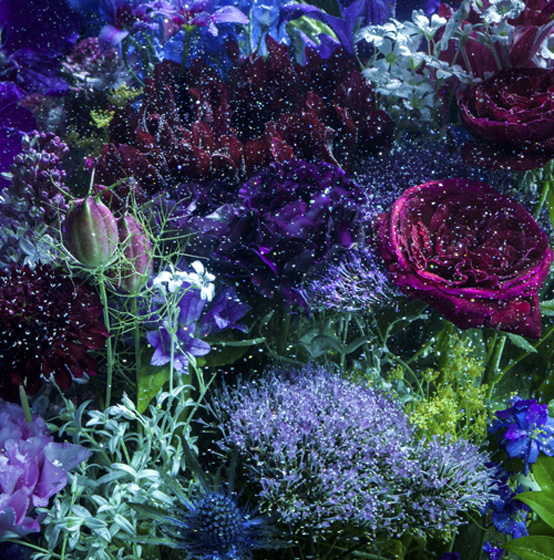 「シングル『あなたに出会わなければ～夏雪冬花～/星屑ビーナス』　通常盤」4枚目/5