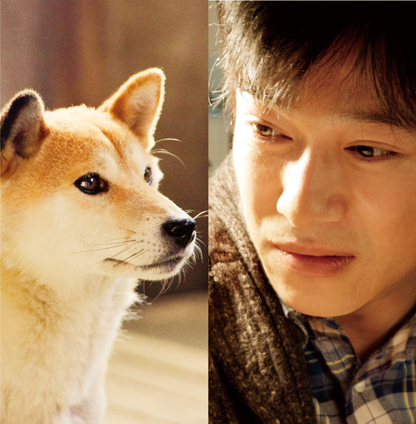 「(C)2013「ひまわりと子犬の7日間」製作委員会」2枚目/10