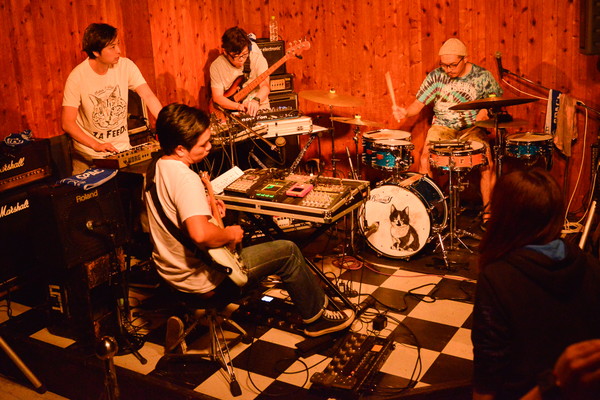 「Yasei Collective」40枚目/40